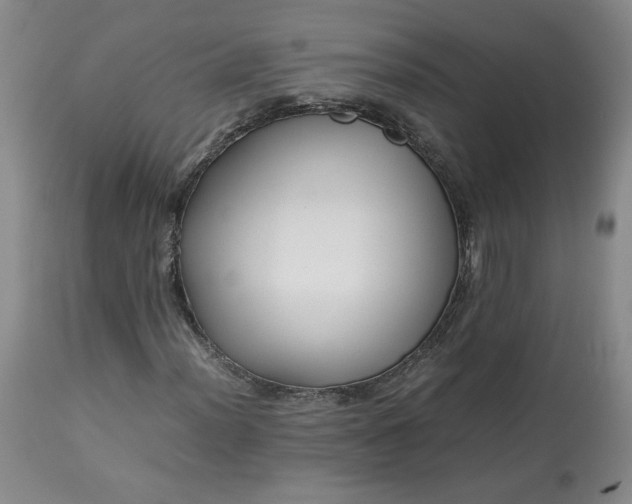 X0000113221012200909241443