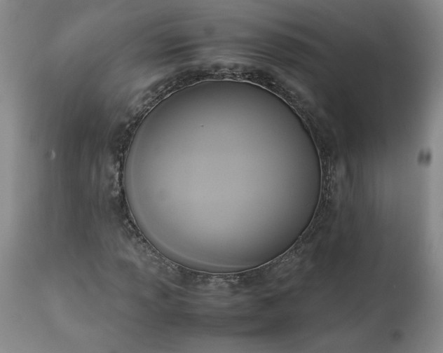 X0000113221013200909241443