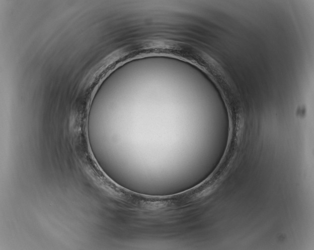 X0000113221017200909241443