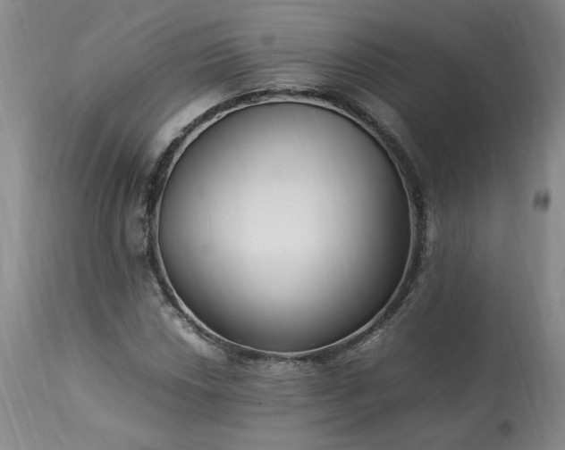 X0000113221018200909241443