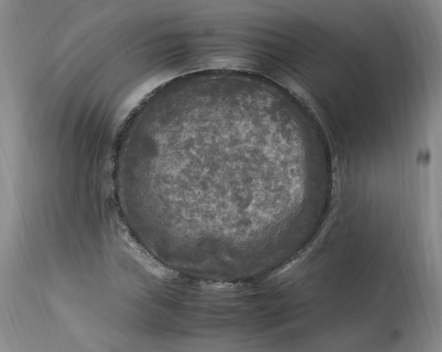 X0000113221019200909241443