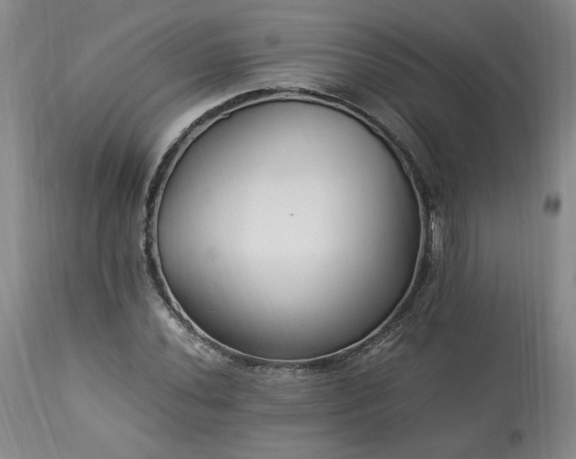 X0000113221020200909241443