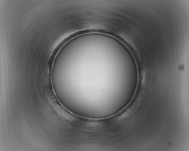 X0000113221021200909241443