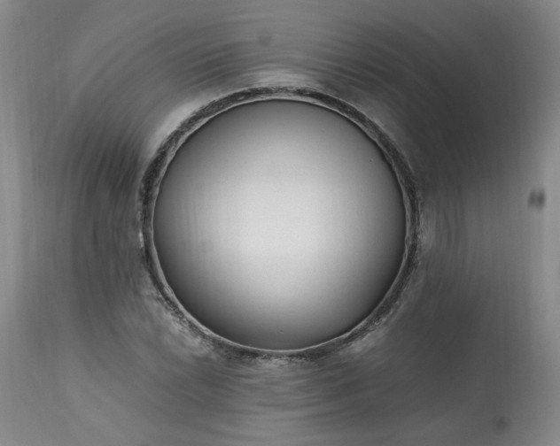 X0000113221022200909241443