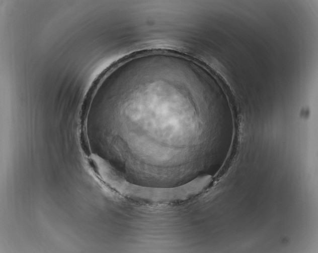 X0000113221024200909241443