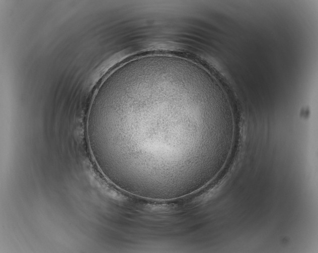 X0000113221025200909241443