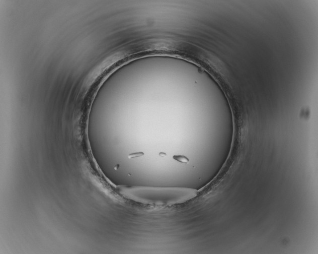 X0000113221026200909241443