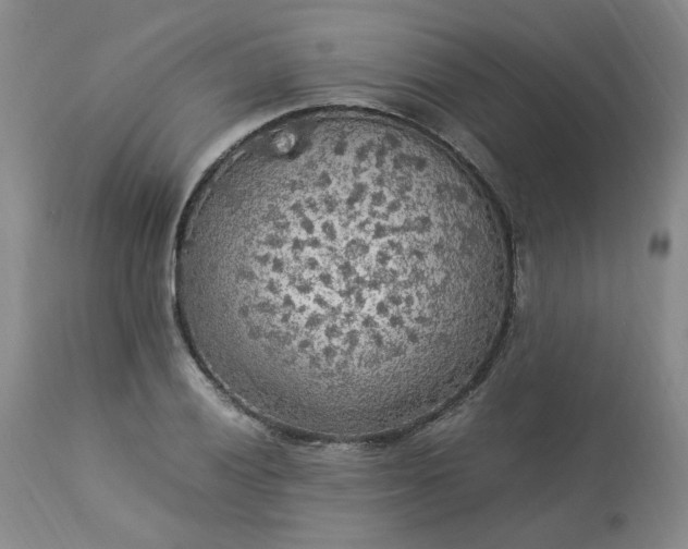 X0000113221028200909241443