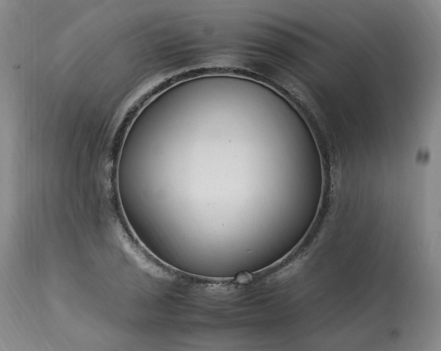 X0000113221029200909241443