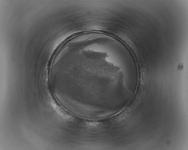 X0000113221031200909241443