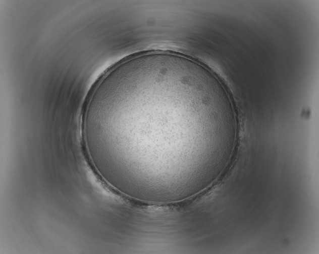 X0000113221032200909241443