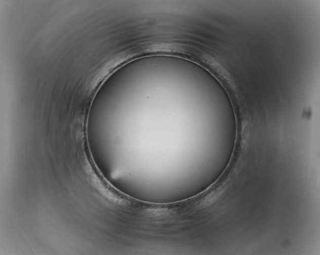 X0000113221033200909241443