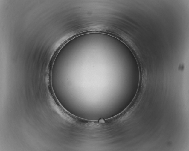 X0000113221034200909241443