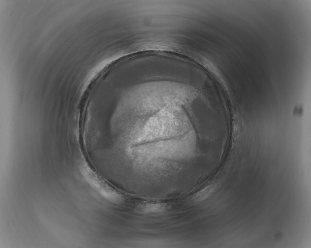 X0000113221035200909241443