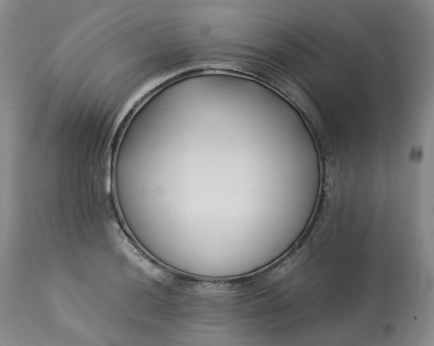 X0000113221036200909241443