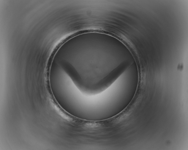 X0000113221037200909241443