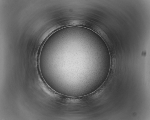 X0000113221039200909241443