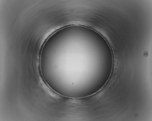 X0000113221040200909241443