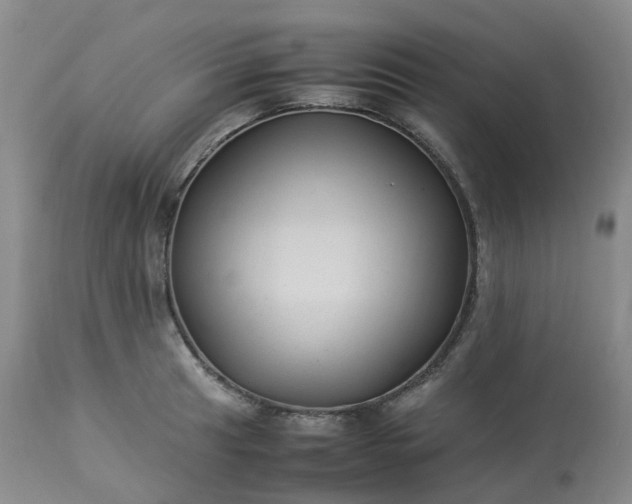 X0000113221041200909241443