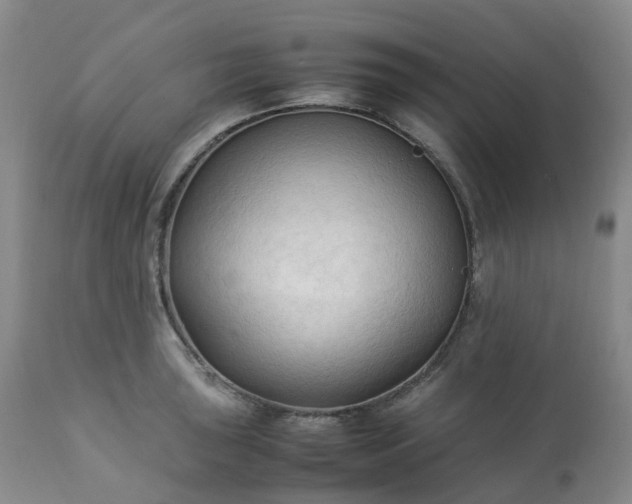 X0000113221043200909241443