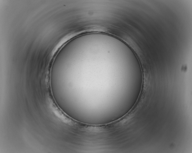 X0000113221044200909241443