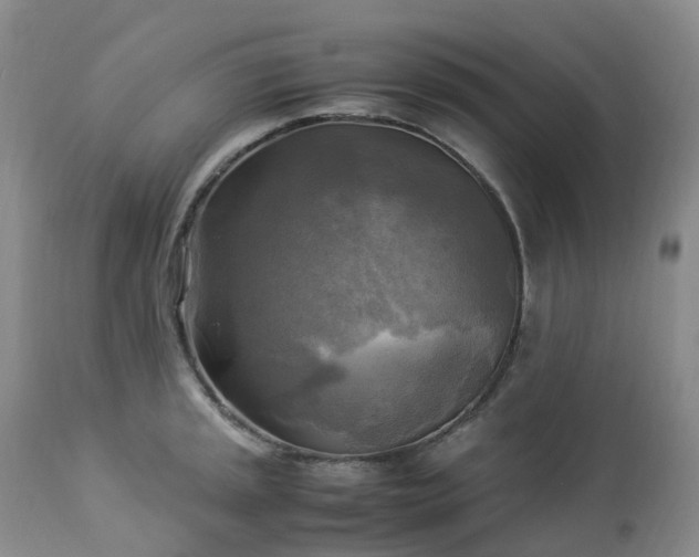 X0000113221045200909241443