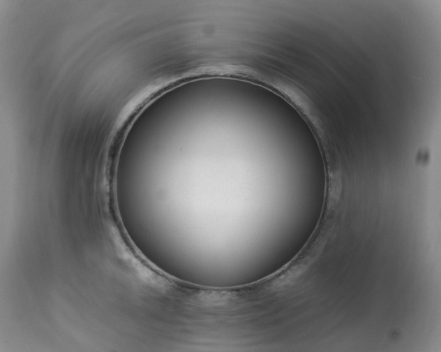 X0000113221046200909241443