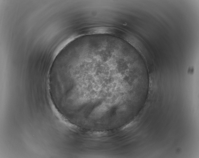 X0000113221047200909241443