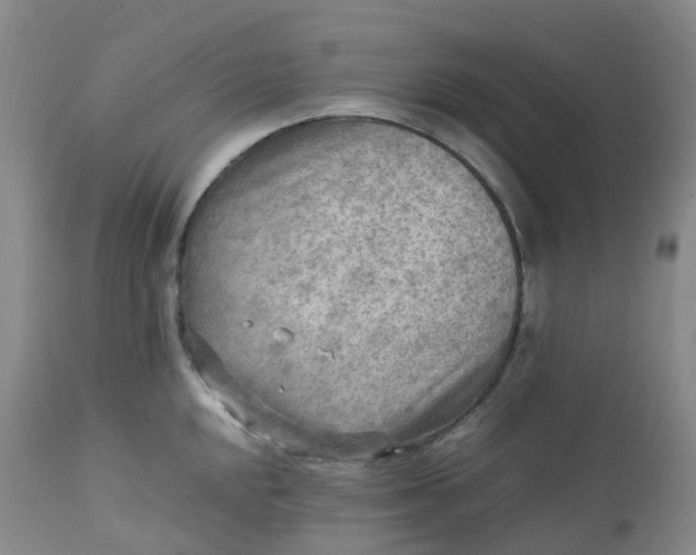 X0000113221048200909241443