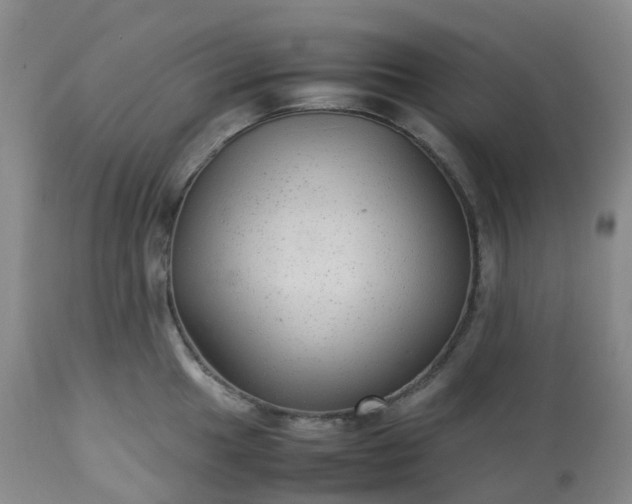 X0000113221049200909241443