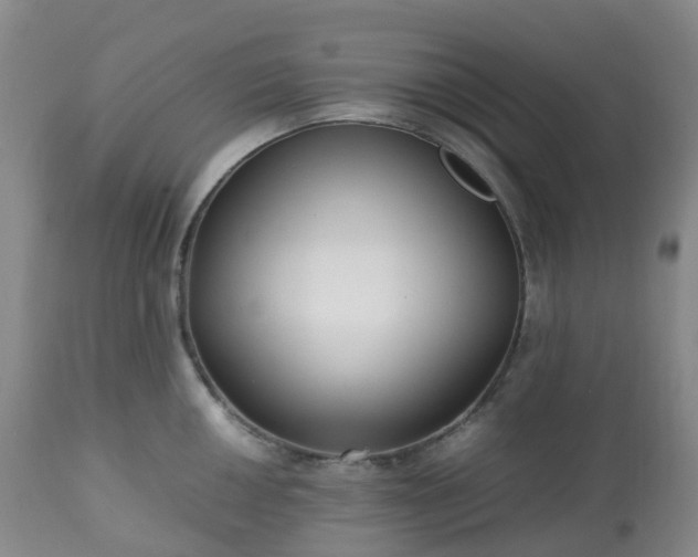 X0000113221050200909241443