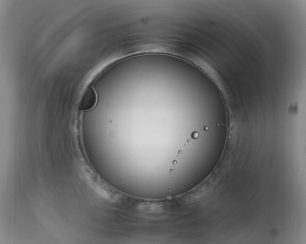 X0000113221051200909241443