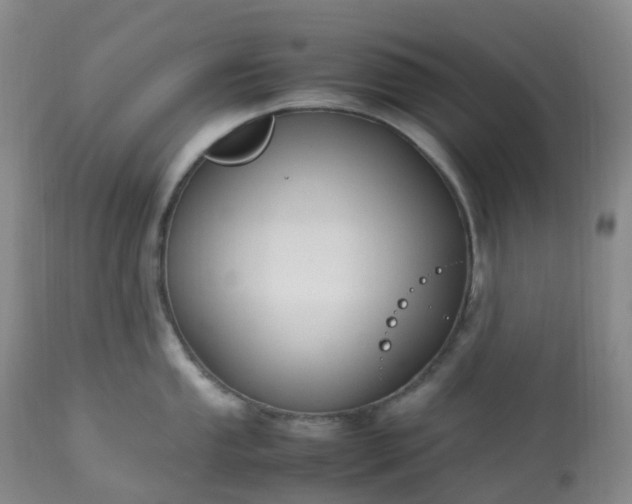 X0000113221053200909241443