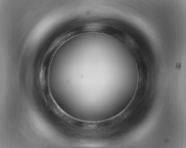 X0000113221054200909241443