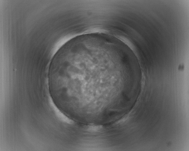 X0000113221055200909241443