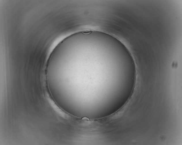 X0000113221056200909241443