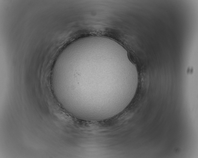 X0000113221057200909241443