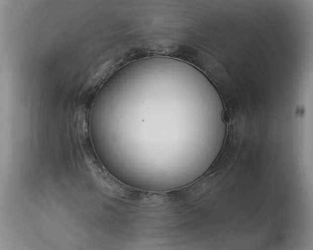 X0000113221058200909241443