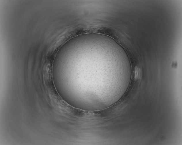 X0000113221059200909241443