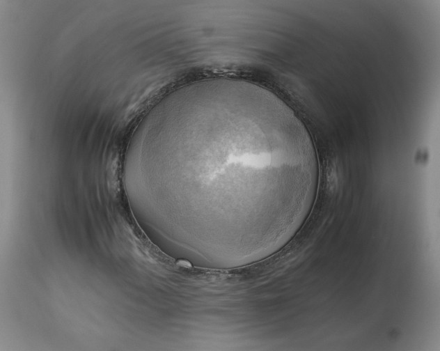 X0000113221060200909241443