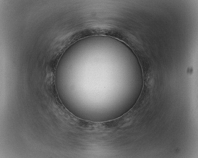 X0000113221061200909241443