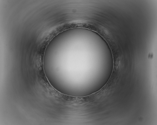 X0000113221062200909241443