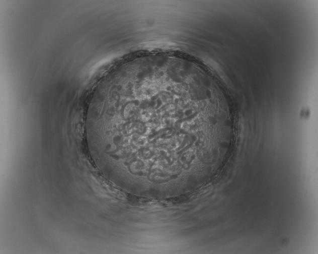 X0000113221063200909241443