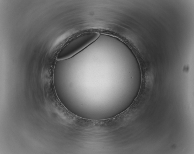 X0000113221064200909241443