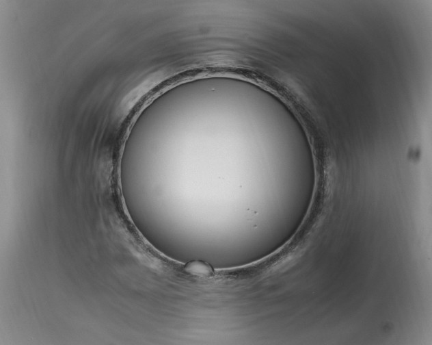 X0000113221065200909241443