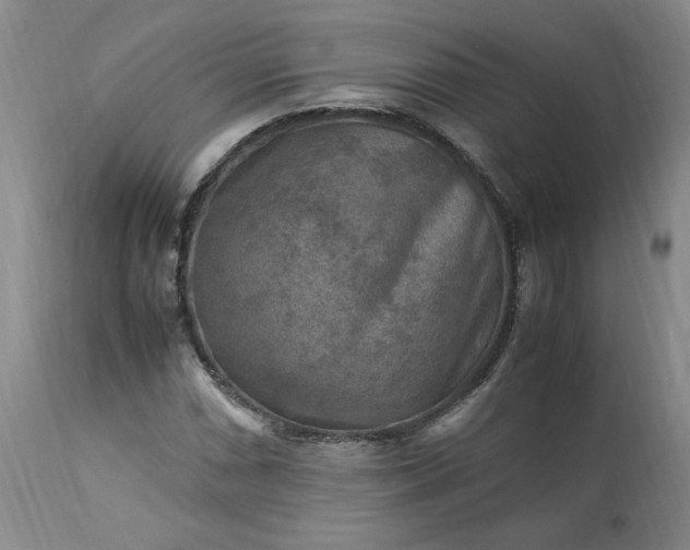 X0000113221066200909241443