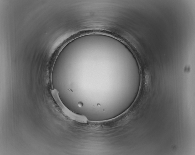 X0000113221069200909241443