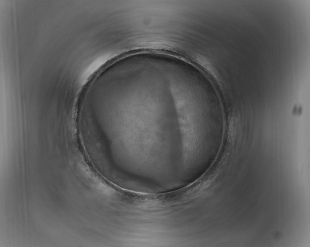 X0000113221071200909241443