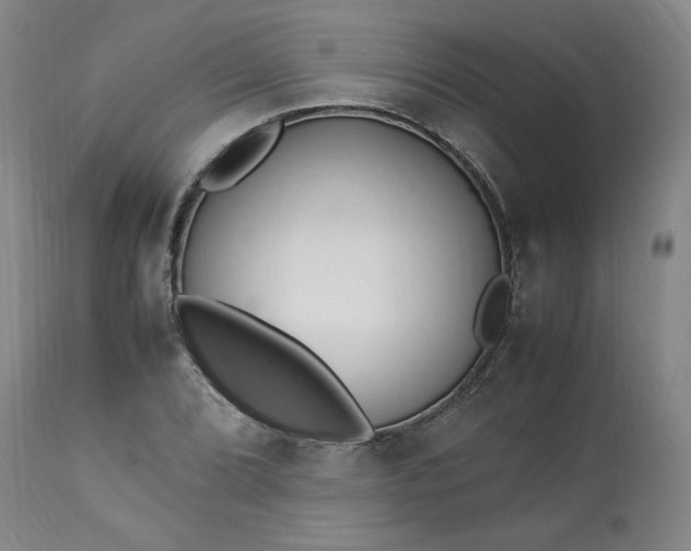 X0000113221072200909241443