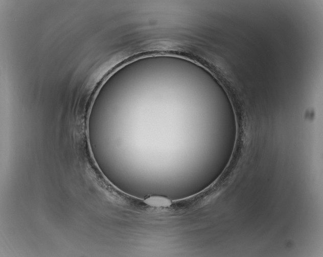 X0000113221073200909241443